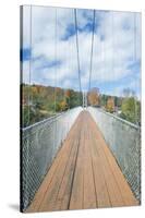 Canada, Quebec, Coaticook, Parc De La Gorge, Suspension Bridge-Rob Tilley-Stretched Canvas