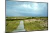 Canada, Quebec, Iles-de-la-Madeleine. Sandy dunes and walkway-Michele Molinari-Mounted Photographic Print