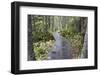 Canada, Quebec, Mingan Archipelago, Lle Quarry. Park Boardwalk-Cindy Miller Hopkins-Framed Photographic Print