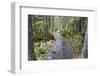 Canada, Quebec, Mingan Archipelago, Lle Quarry. Park Boardwalk-Cindy Miller Hopkins-Framed Photographic Print