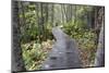 Canada, Quebec, Mingan Archipelago, Lle Quarry. Park Boardwalk-Cindy Miller Hopkins-Mounted Photographic Print