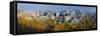 Canada, Quebec, Montreal, Downtown Montreal-Alan Copson-Framed Stretched Canvas