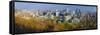 Canada, Quebec, Montreal, Downtown Montreal-Alan Copson-Framed Stretched Canvas