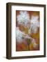 Canada, Quebec, Mount St-Bruno Conservation Park. Milkweed Releasing Seeds-Jaynes Gallery-Framed Photographic Print