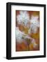 Canada, Quebec, Mount St-Bruno Conservation Park. Milkweed Releasing Seeds-Jaynes Gallery-Framed Photographic Print