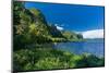 Canada, Quebec, Parc National du Fjord-du-Saguenay. Forested cliffs along the Saguenay River.-Jaynes Gallery-Mounted Photographic Print