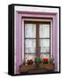 Canada, Quebec, Quebec City, Old Town window with flowers.-Jamie & Judy Wild-Framed Stretched Canvas