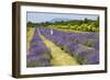 Canada, Quebec, Saint-Francois, Seigneurie de l'Ile d'Orleans farm.-Jamie & Judy Wild-Framed Photographic Print