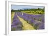 Canada, Quebec, Saint-Francois, Seigneurie de l'Ile d'Orleans farm.-Jamie & Judy Wild-Framed Photographic Print