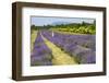 Canada, Quebec, Saint-Francois, Seigneurie de l'Ile d'Orleans farm.-Jamie & Judy Wild-Framed Photographic Print