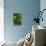 Canada, Quebec, Yamaska National Park. Green False Hellebore Plant-Jaynes Gallery-Stretched Canvas displayed on a wall