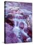 Canada, Reddish Argillite Adds Color to Streambed in Red Rock Canyon-John Barger-Stretched Canvas