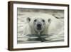 Canada, Repulse Bay, Polar Bear Along Shoreline of Harbour Islands-Paul Souders-Framed Photographic Print