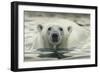 Canada, Repulse Bay, Polar Bear Along Shoreline of Harbour Islands-Paul Souders-Framed Photographic Print