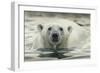 Canada, Repulse Bay, Polar Bear Along Shoreline of Harbour Islands-Paul Souders-Framed Photographic Print