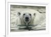 Canada, Repulse Bay, Polar Bear Along Shoreline of Harbour Islands-Paul Souders-Framed Photographic Print