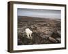 Canada, Repulse Bay-Paul Souders-Framed Photographic Print