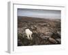 Canada, Repulse Bay-Paul Souders-Framed Photographic Print