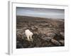 Canada, Repulse Bay-Paul Souders-Framed Photographic Print