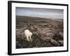 Canada, Repulse Bay-Paul Souders-Framed Photographic Print