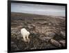 Canada, Repulse Bay-Paul Souders-Framed Photographic Print