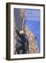 Canada, Rock Climber-Lantern Press-Framed Art Print