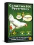 Canada's Egg Opportunity-null-Framed Stretched Canvas