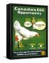 Canada's Egg Opportunity-null-Framed Stretched Canvas