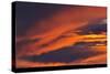 Canada, Saskatchewan. Prince Albert National Park at sunset.-Mike Grandmaison-Stretched Canvas