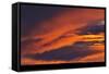 Canada, Saskatchewan. Prince Albert National Park at sunset.-Mike Grandmaison-Framed Stretched Canvas