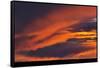 Canada, Saskatchewan. Prince Albert National Park at sunset.-Mike Grandmaison-Framed Stretched Canvas