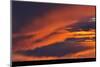 Canada, Saskatchewan. Prince Albert National Park at sunset.-Mike Grandmaison-Mounted Photographic Print