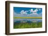Canada, Saskatchewan, Viscount. Reflection in prairie pond water and canola crop.-Jaynes Gallery-Framed Photographic Print