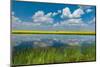 Canada, Saskatchewan, Viscount. Reflection in prairie pond water and canola crop.-Jaynes Gallery-Mounted Photographic Print