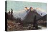 Canada Scenery, Glaciers-T Mower Martin-Stretched Canvas