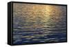 Canada, Sidney Island. Sunset Reflected in Gentle Waves at Sidney Spit-Kevin Oke-Framed Stretched Canvas