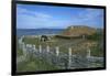 Canada, Terranova, L'Anse Aux Meadows National Historic Site, Reconstruction of Viking Houses-null-Framed Giclee Print