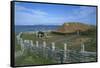 Canada, Terranova, L'Anse Aux Meadows National Historic Site, Reconstruction of Viking Houses-null-Framed Stretched Canvas