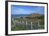 Canada, Terranova, L'Anse Aux Meadows National Historic Site, Reconstruction of Viking Houses-null-Framed Giclee Print