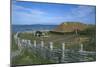 Canada, Terranova, L'Anse Aux Meadows National Historic Site, Reconstruction of Viking Houses-null-Mounted Premium Giclee Print