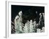 Canada, Ukkusiksalik National Park-Paul Souders-Framed Photographic Print