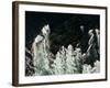 Canada, Ukkusiksalik National Park-Paul Souders-Framed Photographic Print