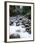 Canada, Vancouver Island, Englishman River Though Forest-Christopher Talbot Frank-Framed Premium Photographic Print