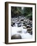 Canada, Vancouver Island, Englishman River Though Forest-Christopher Talbot Frank-Framed Photographic Print