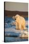 Canada, Wager Bay and Ukkusiksalik National Park-Paul Souders-Stretched Canvas