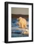 Canada, Wager Bay and Ukkusiksalik National Park-Paul Souders-Framed Photographic Print