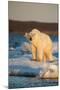 Canada, Wager Bay and Ukkusiksalik National Park-Paul Souders-Mounted Photographic Print