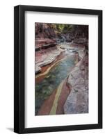 Canada, Waterton-Glacier International Peace Park-Judith Zimmerman-Framed Photographic Print