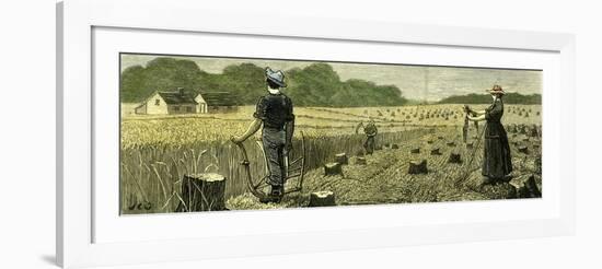 Canada Wheat Harvest in New Land 1880-null-Framed Giclee Print