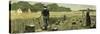 Canada Wheat Harvest in New Land 1880-null-Stretched Canvas